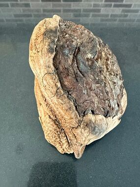 Natural Wood Burl for Crafting, Woodwork or Decorative Purposes, Natural Brown.